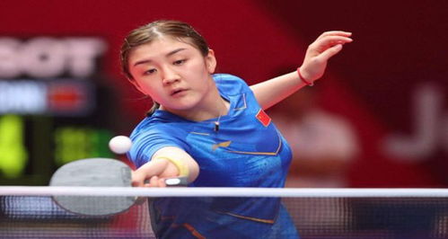 在这篇文章 在这篇文章