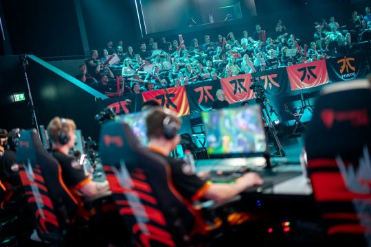 度上做了补 度上做了补